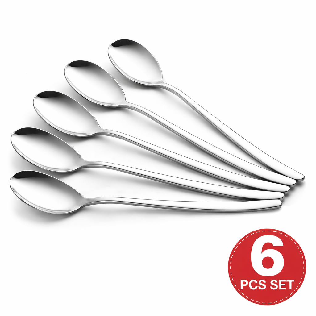 STAINLESS STEEL DINNER SET (6 PCS)